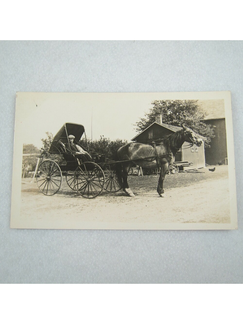 RPPC Real Photo Postcard Horse & Buggy Man Newsboy Cap on Farm Antique 1904-1918